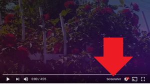 Ini Cara Mengambil Screenshot Berkualitas Tinggi dari Video YouTube di Mac