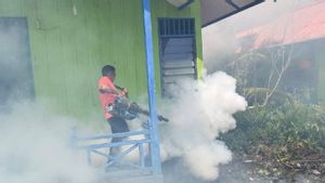 Warga Kesulitan Bersihkan Jentik Nyamuk di Bak Penampungan jadi Pemicu Tingginya Demam Berdarah di Asmat Papua
