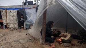 Setelah Pasukan Israel dan Cuaca Ekstrem, Pengungsi Gaza Kini Menghadapi Tikus yang Membawa Penyakit