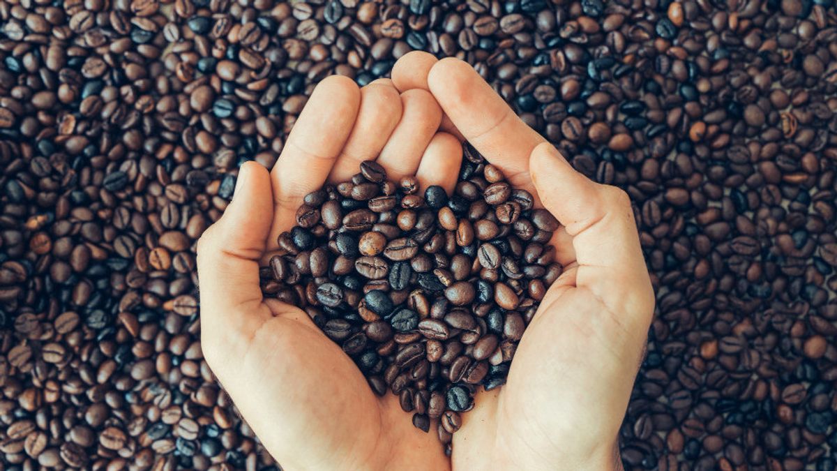 Ciri-Ciri Biji Kopi Basi dan Cara Menghindarinya