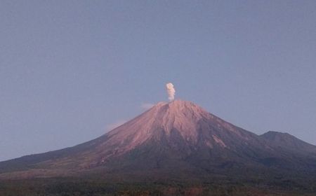 Gunung Semeru Erupsi Lontarkan Abu Vulkanik Setinggi 800 Meter