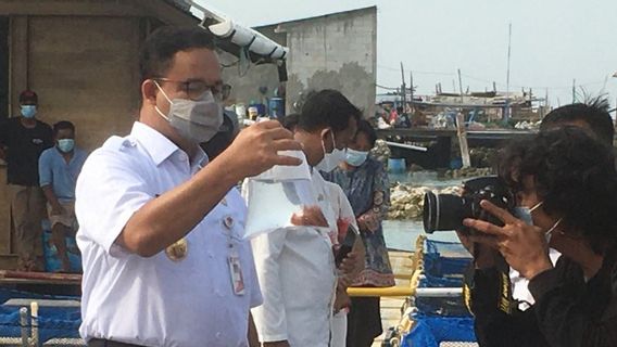 Anies Baswedan's Story While Staying At Sabira Island, Which Is Nicknamed 'The North Guardians' Island