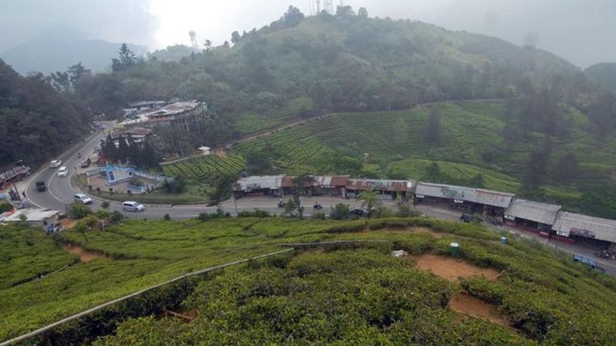 Kunjungan Wisatawan Mancanegara  Melonjak 700 Persen ke Bogor 