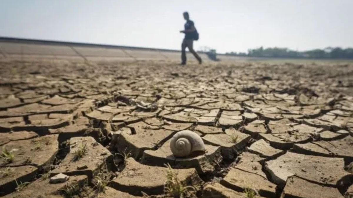 Garut Regency Government Forms Minimum Drought Handling Task Force Due To El Nino