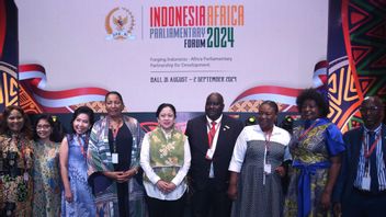 The Initiation Of The RI-Africa Parliament Forum, The Role Of The DPR Essentially Develops South-South State Cooperation