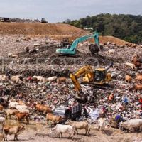 Viral Truk Sampah Rongsok Seliweran, Pemkot Semarang Bakal Remajakan 44 Unit dengan Anggaran Rp2,5 Miliar