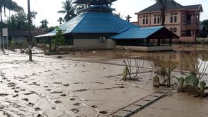 Aceh Butuh 18 Unit Jembatan Bailey untuk Penanganan Darurat Pascabanjir Bandang Akhir November
