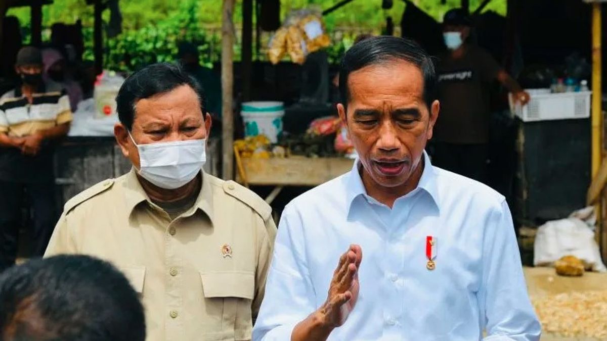 Presiden Jokowi Meminta Kasus ekspor Minyak Goreng Diusut Tuntas