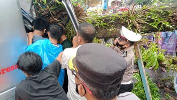 Car Hit By Tree In West Pasaman, One Person Dies