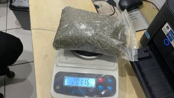 ili Cartenz contact fusillade à Maima Jayawijaya, 1 membre du KKB a emporté de la marijuana mort