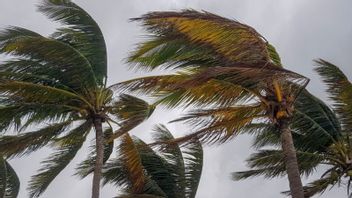 BMKG Warns Impact of Cyclone Luana on South Central Java Weather