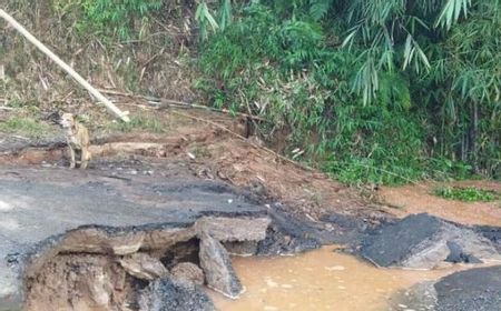 Sepekan, 20 Bencana Alam Longsor dan Banjir Terjadi di Cianjur