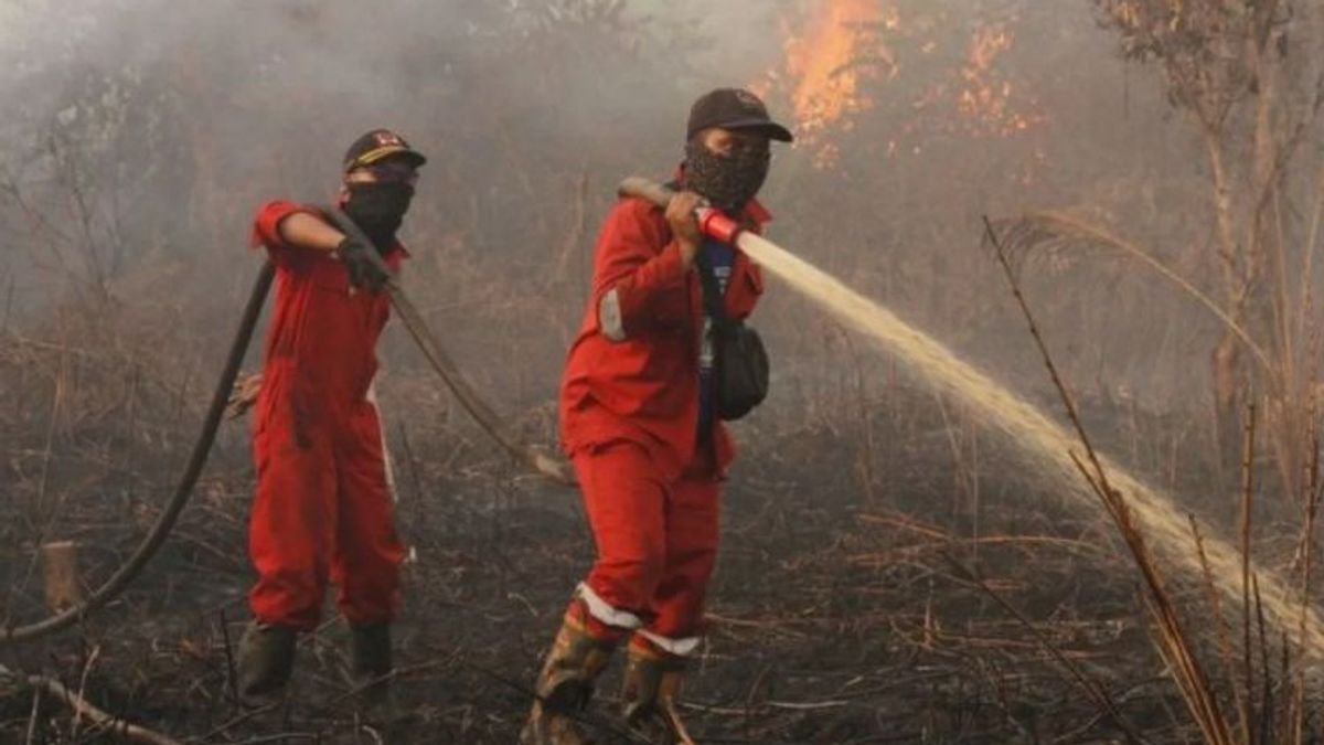 BPBD Damkar Riau Padamkan Karhutla di Rokan Hilir dan Dumai