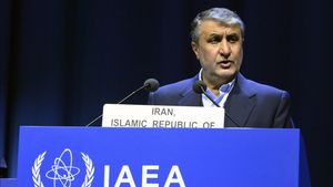 Iran Garap Proyek Energi Nuklir di 5 Wilayah Pesisir