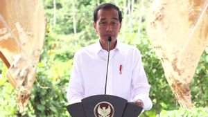 Jokowi Bercerita Kualitas Udara di Jakarta Buruk: Jauh Sekali dari Standar