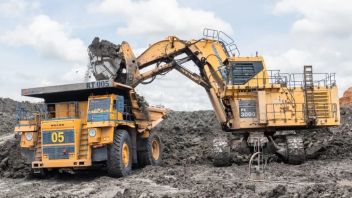 PTBA 赞同扩大 DMO 份额的决定，要求政府评估价格