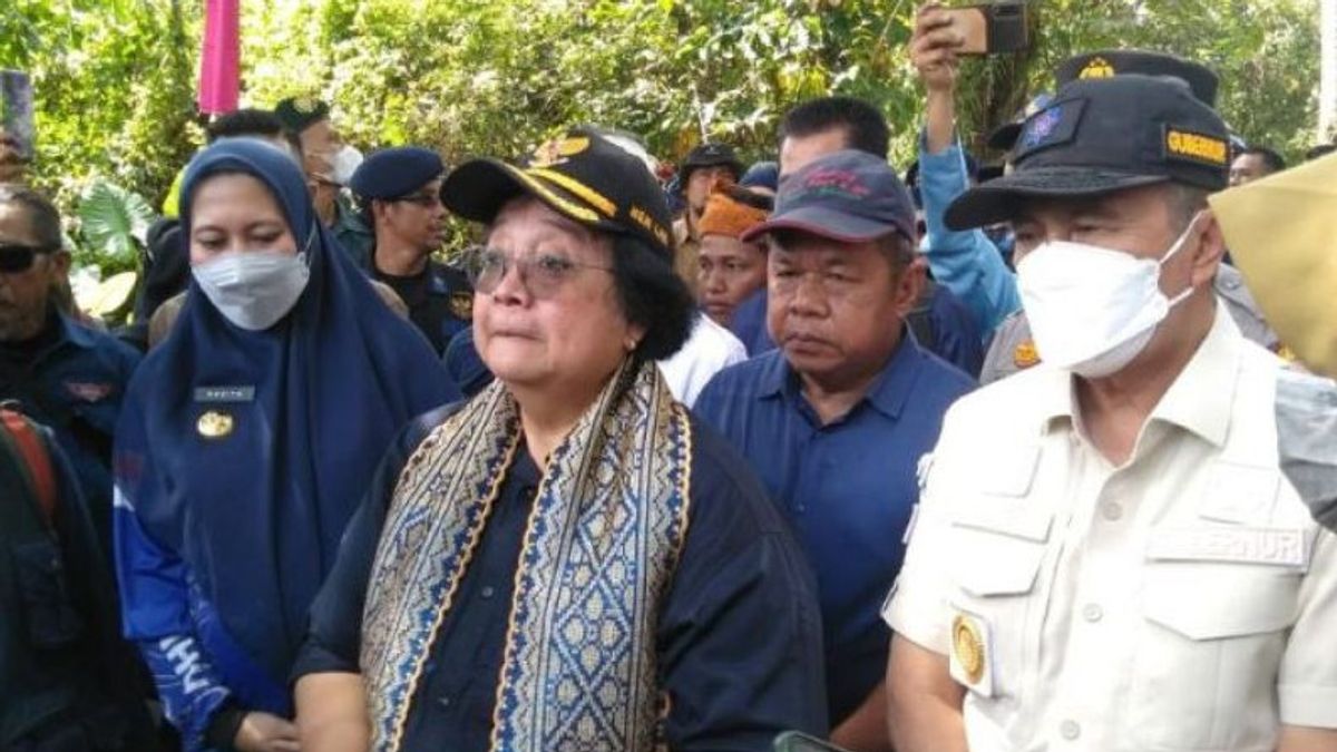 Cegah Abrasi, Menteri LHK Tanam Pohon di Tepian DAS Indragiri Hulu Riau