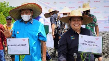 Desa Pasar Rawa Ditanami 10 Ribu Mangrove, Kerja Sama dengan Pabrik Cat