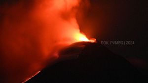 Aliran Lava Pijar Gunung Lewotobi Meluncur Sejauh 3,5 Kilometer