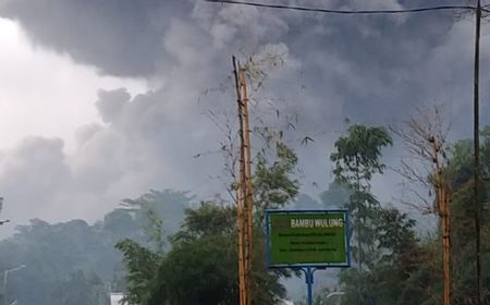 Gunung Semeru Keluarkan Guguran Awan Panas 4,5 Kilometer