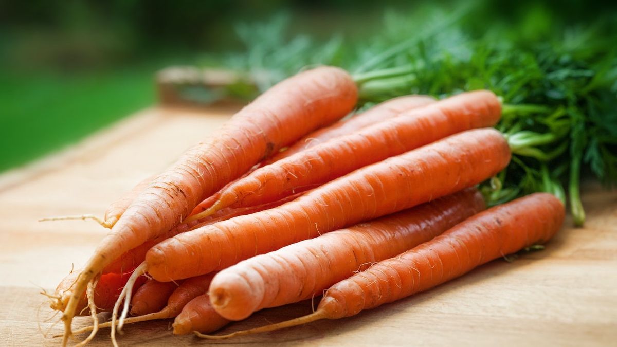 了解食用生胡萝卜对身体健康的好处