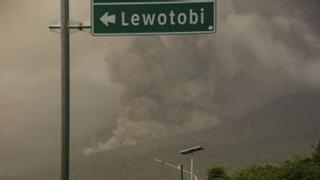 レンバタのウヌノピト空港、レウォトビ山、男性の噴火は一時的に閉鎖されました