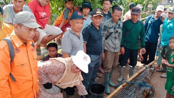 不幸的是,由于经常吞噬牲畜,一只鳄鱼被居民逮捕