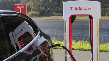 Bukan di Indonesia, Tesla Justru Beli Pasokan Nikel dari Kaledonia Baru