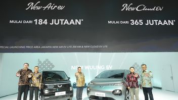 Wuling Luncurkan New Air Ev dan New Cloud EV di IIMS 2025, Ada Mobil Konsep Juga