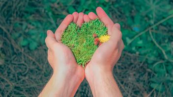 Les jeunes se tournent vers les énergies renouvelables en raison de leur souci pour l'environnement