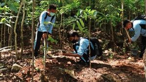 BCA Menanam 1.000 Bibit Pohon di Gunung Kidul