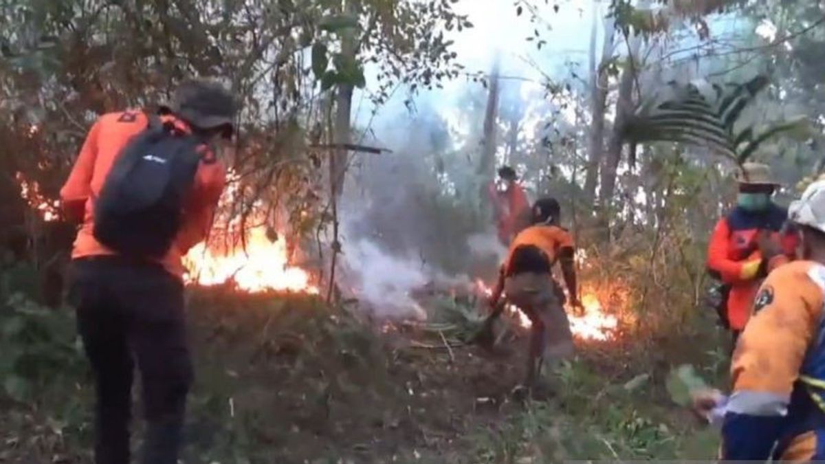 ンガウィ摂政政府がラウ山の森林火災と土地火災の緊急対応状況を決定