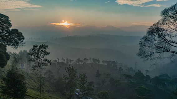 Pangalengan Bandung Tourism, Enjoying The Cool Air At The Tea Plantation And Bosscha Observatory