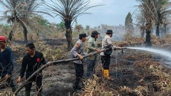 Musi Banyuasin的70公顷森林和陆地火灾自7月27日以来尚未扑灭,BPBD继续努力