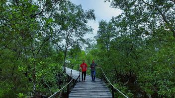 Libur Nataru-Sekolah, Masyarakat Ramai Kunjungi Objek Wisata Arung Hijau