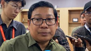 Atasi Fluktuasi Pasar, Pemerintah Siapkan Kebijakan Beras Bertahap dan Berbasis Zona