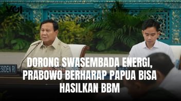 Prabowo Dorong Swasembada Energi di Papua
