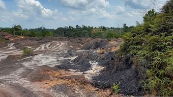 سلطات IKN تشن حربا على الأنشطة غير القانونية في منطقة العاصمة الوطنية