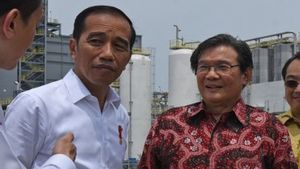 Prajogo Pangestu, Orang Terkaya Nomor 3 di Indonesia dapat Pinjaman Rp840 Miliar dari DBS