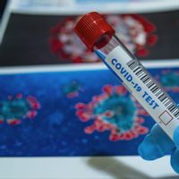 Perbedaan Pandemi COVID-19 dengan Flu Burung