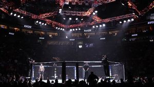 UFC dan IBM Luncurkan Teknologi In-Fight Insights Berbasis AI untuk Hadirkan Statistik Real-Time 