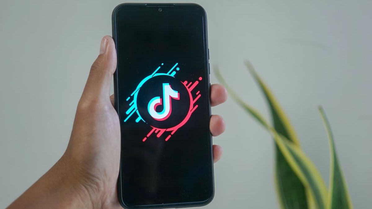 TikTok Confirms The Presence Of Its New Ad-Free Monthly Subscription Plan