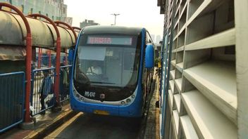 Mengandangkan 59 Bus Zhongtong Sebagai Buntut Pemutaran Iklan Vulgar