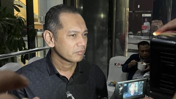 Deputy Chairperson Of The KPK Claims Not To Know The News Of The Rice Prosecutor's Rp3 Billion Witness