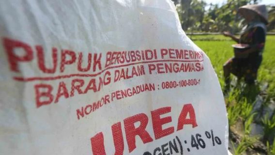 Fire The Full Car Pupuk Subsidi Illegal In North Gorontalo, The Police Investigate The Practice