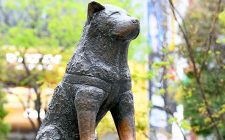 Cegah Kerumunan, Wisata Patung Hachiko Ditutup Saat Pergantian Tahun