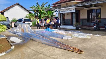 Polisi Amankan 7 Balon Udara Disertai Bahan Peledak