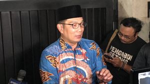 Kunjungi Jusuf Kalla, Ridwan Kamil Diminta Atasi Kekumuhan di Jakarta