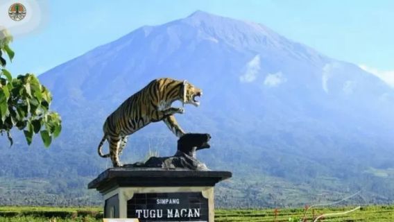 克林奇山的火山活动增加，5厘米厚的火山灰关闭了远足径