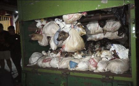 Korsel Beri Intensif Pelaku Usaha Jual Beli Daging Anjing Rp1,13 Triliun untuk Gulung Tikar